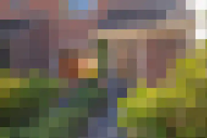 de Els 2 Didam thumbnail 7