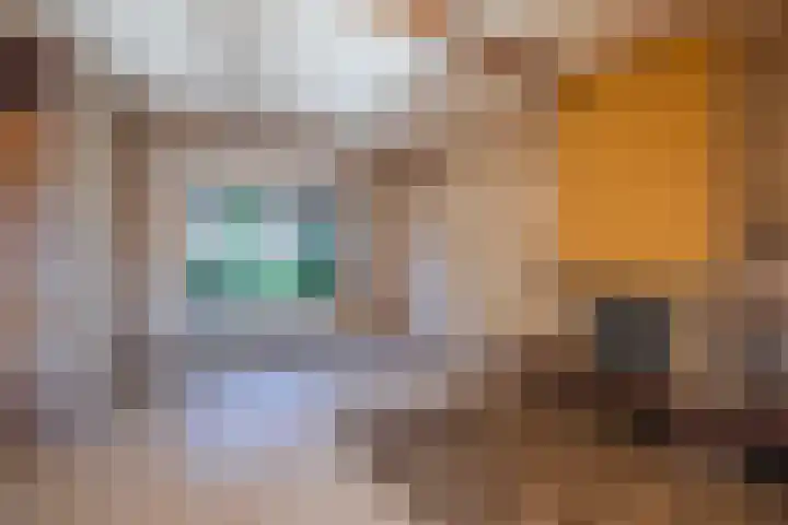 de Els 2 Didam thumbnail 9