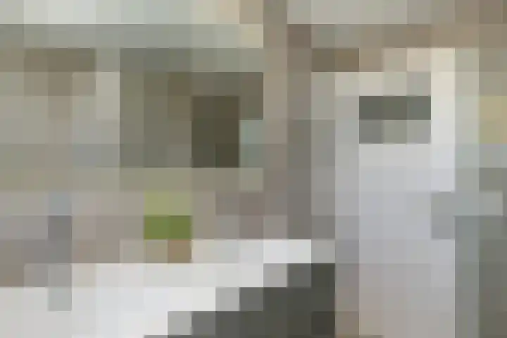De Els 20 Beekbergen thumbnail 22