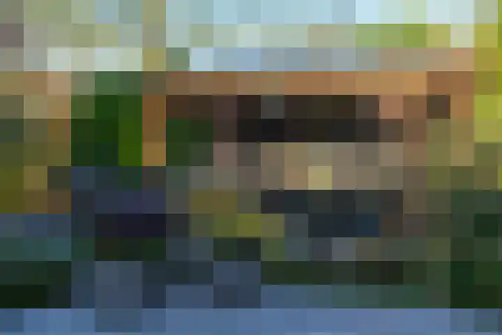 De Els 20 Beekbergen thumbnail 33