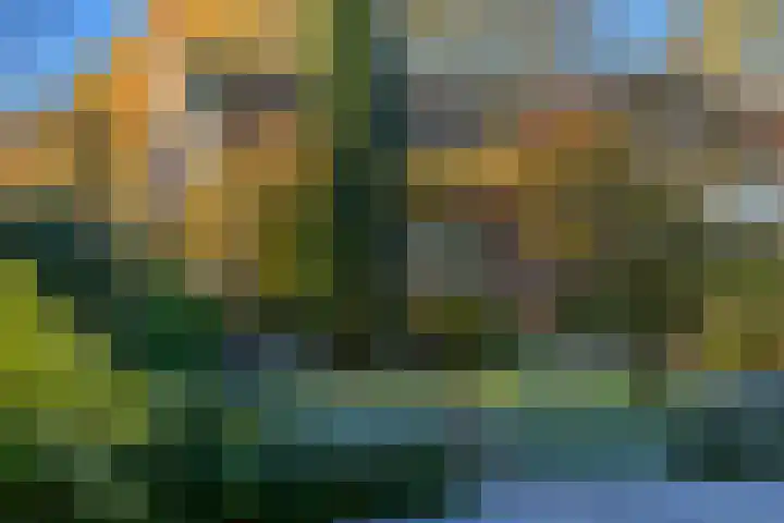 De Els 20 Beekbergen thumbnail 34