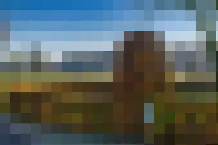 De Els 20 Beekbergen thumbnail 39