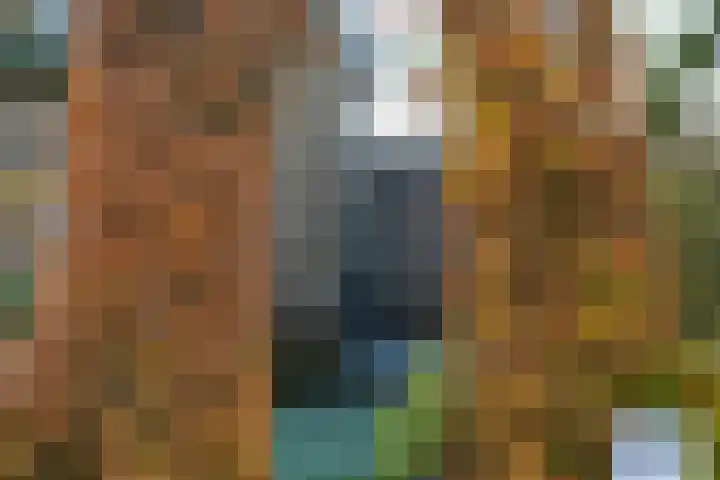 De Els 20 Beekbergen thumbnail 40