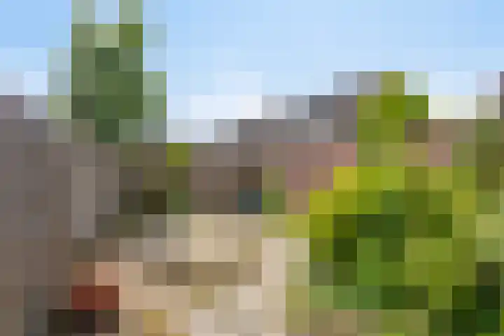 de Els 4 Hellevoetsluis thumbnail 30