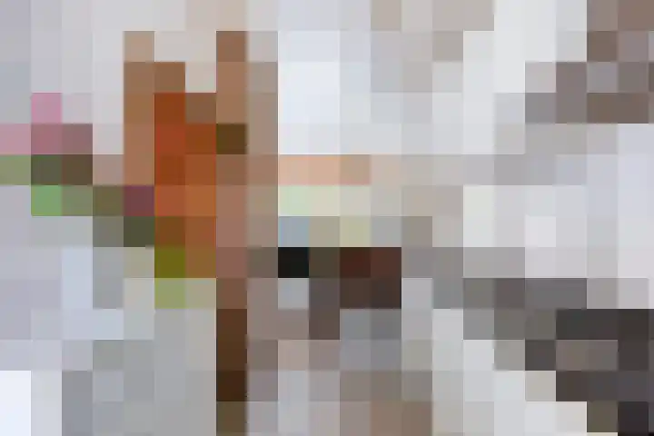 de Els 4 Hellevoetsluis thumbnail 8
