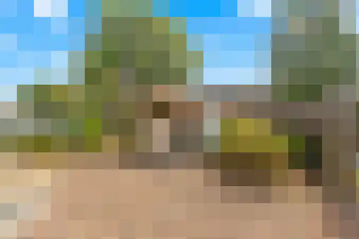 De Elzen 24 Lekkerkerk thumbnail 29