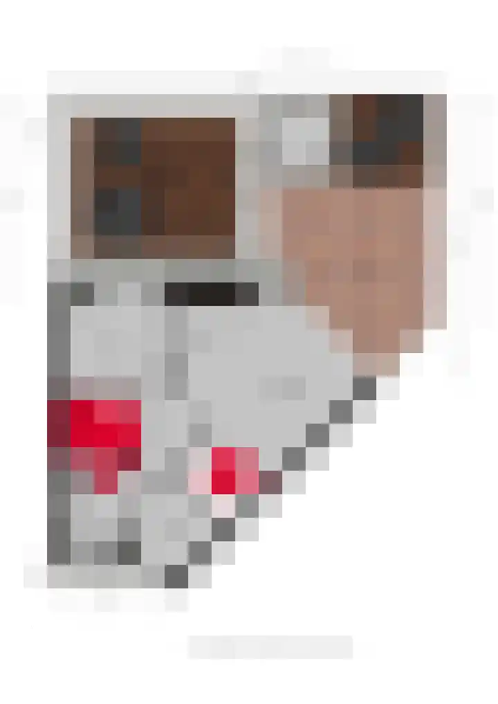 De Elzen 24 Lekkerkerk thumbnail 41