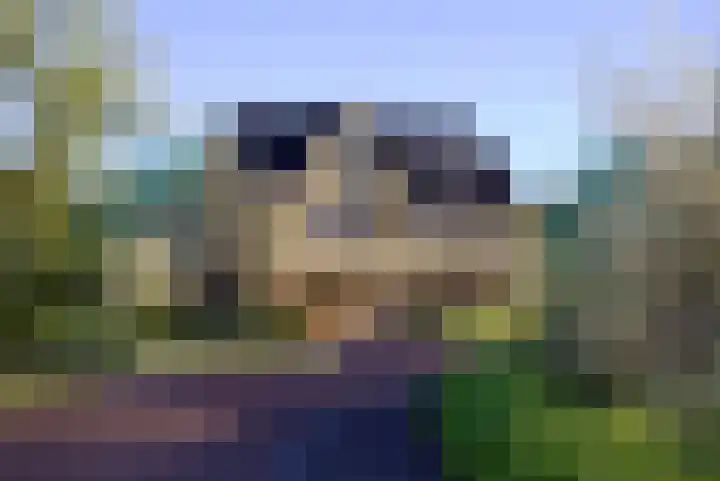 De Elzen 8 Lelystad thumbnail 4