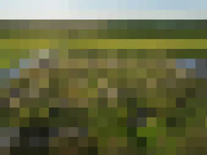 De Elzen 8 Lelystad thumbnail 7