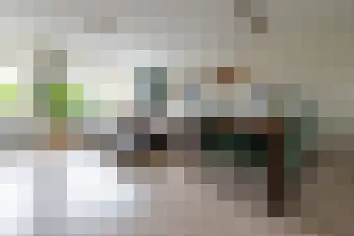De Eng 46 't Goy thumbnail 10