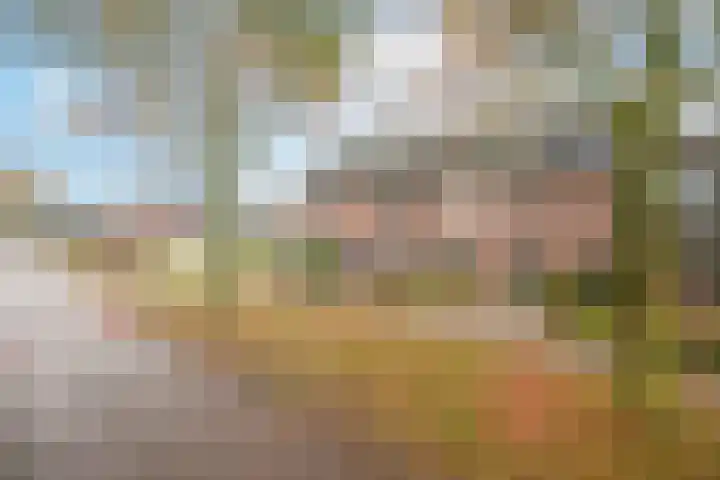 De Eng 46 't Goy thumbnail 4