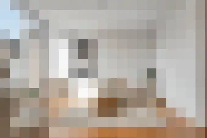 De Enk 23 Ermelo thumbnail 10