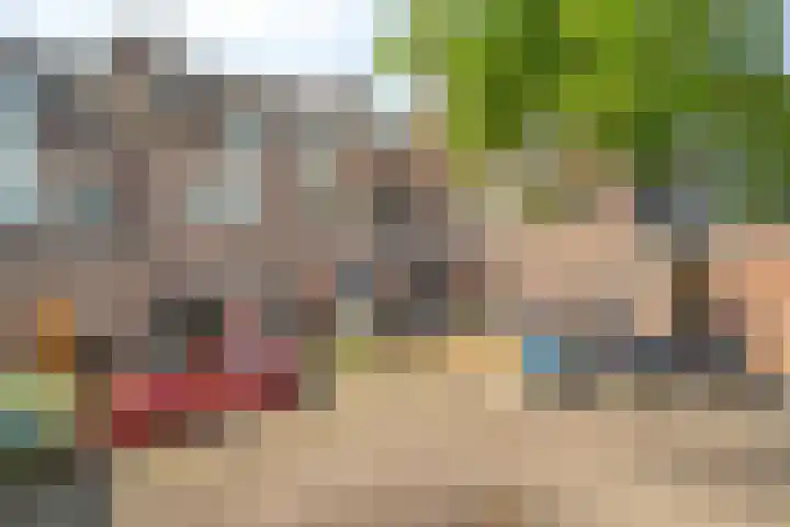 De Enk 23 Ermelo thumbnail 37