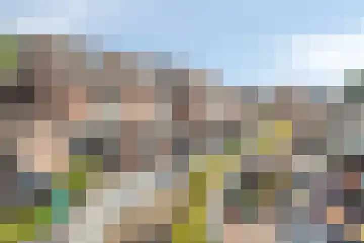 De Enk 23 Ermelo thumbnail 6