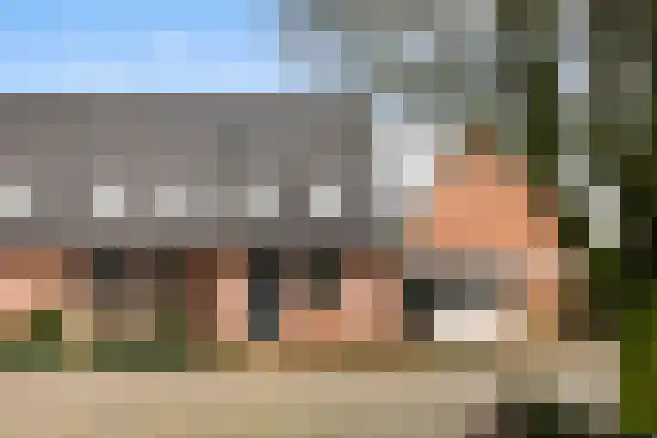 De Enk 70 Ermelo