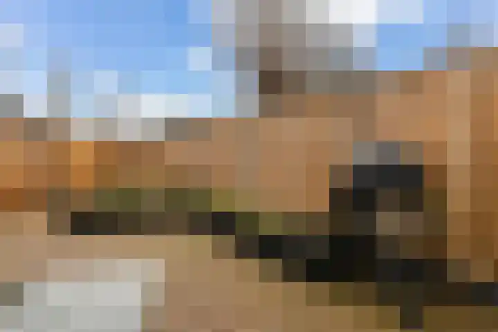 De Enk 70 Ermelo thumbnail 27