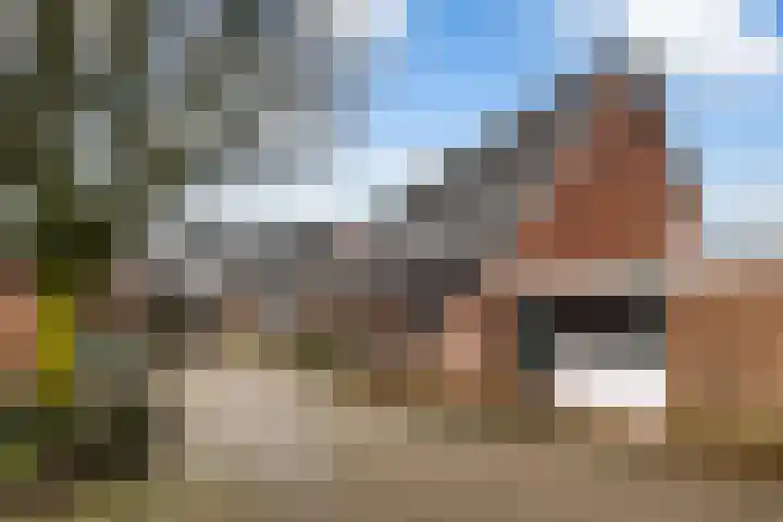 De Enk 70 Ermelo thumbnail 35