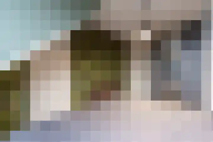 De Enk 97 Ermelo thumbnail 16