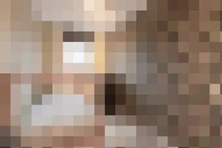 De Enk 97 Ermelo thumbnail 19