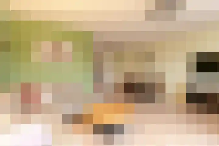 De Enk 97 Ermelo thumbnail 5