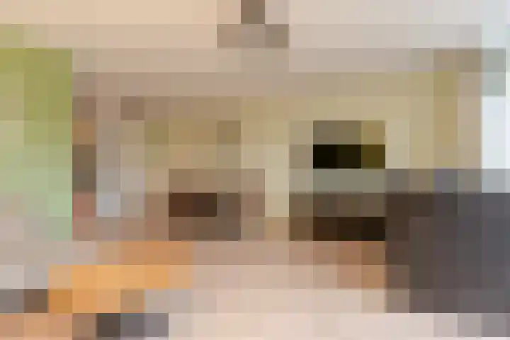 De Enk 97 Ermelo thumbnail 6