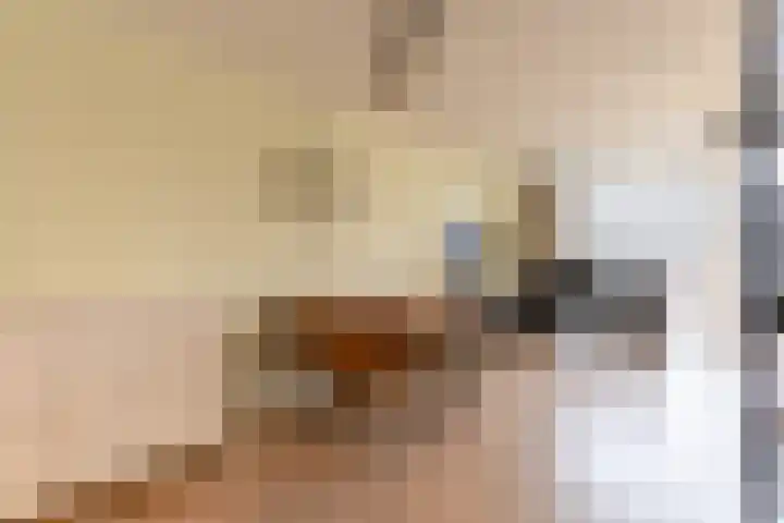 De Enk 97 Ermelo thumbnail 8