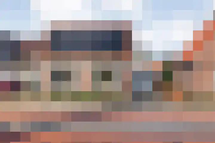 De Esch 39 Gramsbergen thumbnail 11