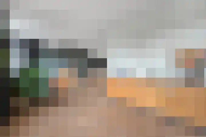 De Esch 39 Gramsbergen thumbnail 17