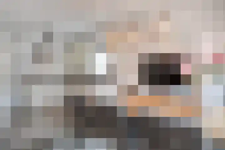 De Esch 39 Gramsbergen thumbnail 20