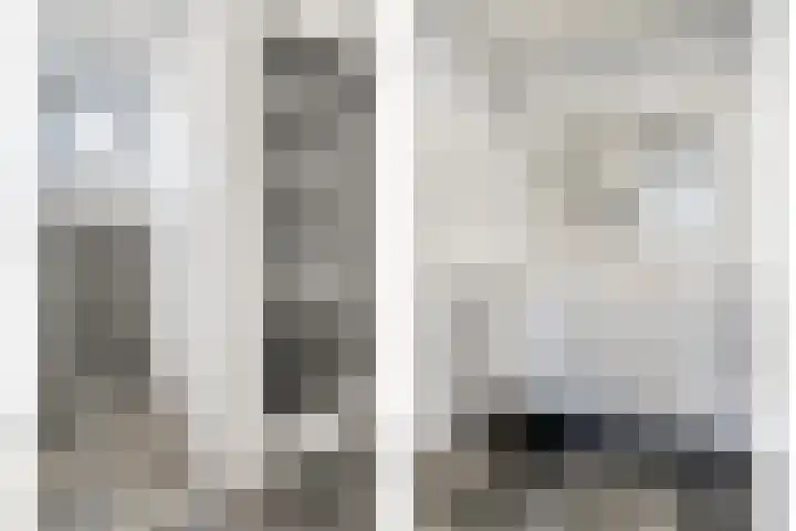 De Esch 39 Gramsbergen thumbnail 26