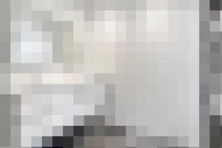 De Esch 39 Gramsbergen thumbnail 27