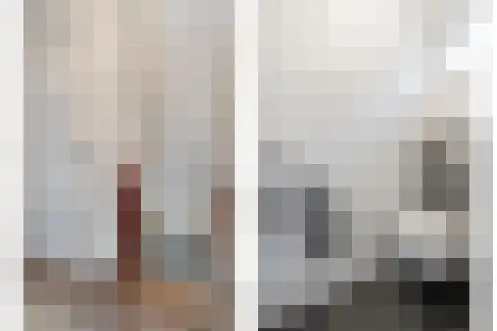 De Esch 39 Gramsbergen thumbnail 28
