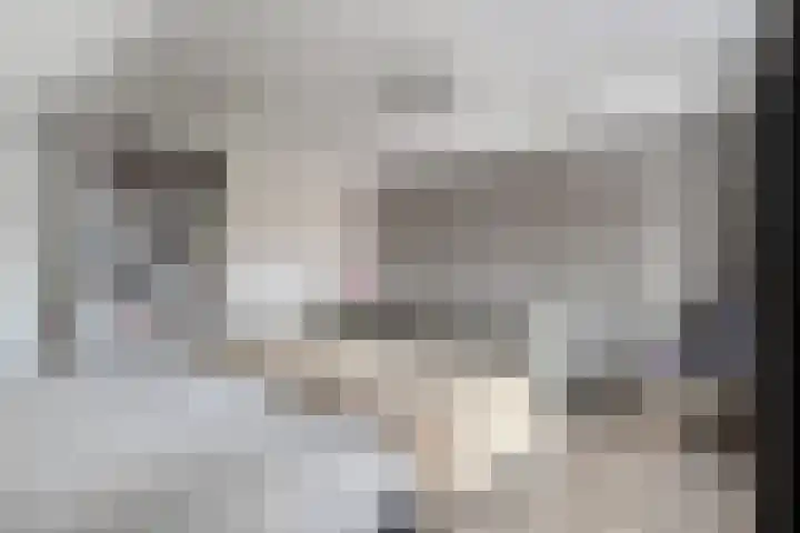 De Esch 39 Gramsbergen thumbnail 32
