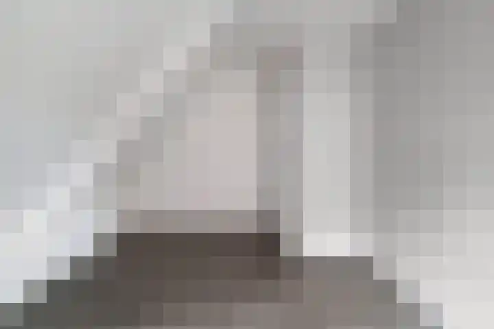 De Esch 39 Gramsbergen thumbnail 34