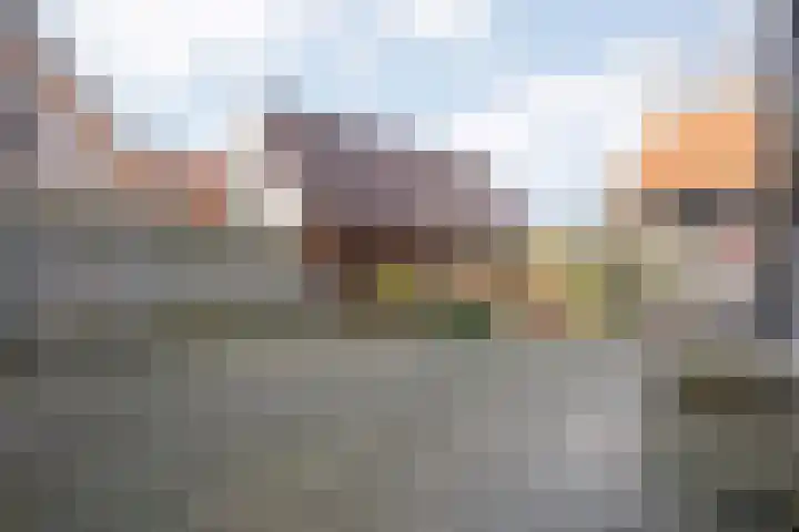 De Esch 39 Gramsbergen thumbnail 37