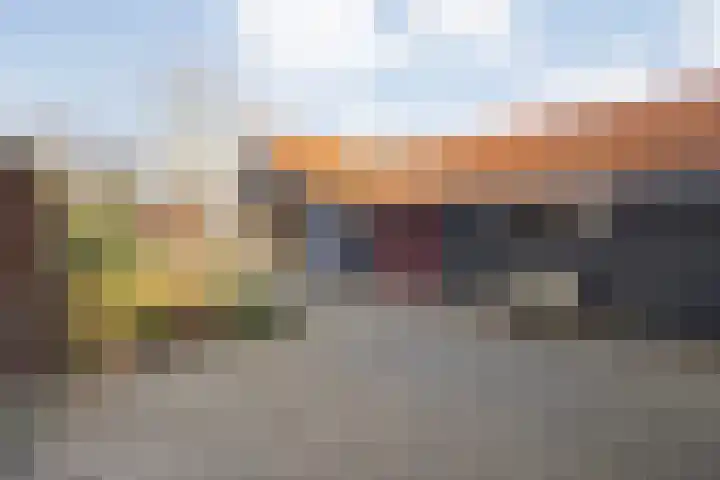 De Esch 39 Gramsbergen thumbnail 38