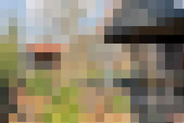 De Esch 39 Gramsbergen thumbnail 39