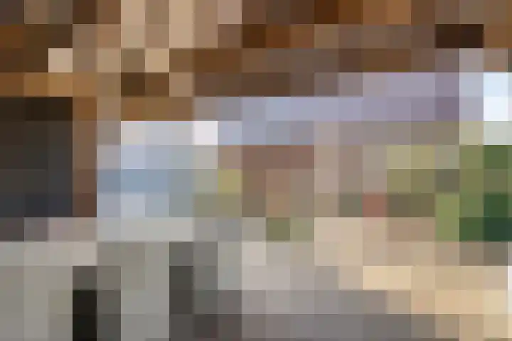 De Esch 39 Gramsbergen thumbnail 41