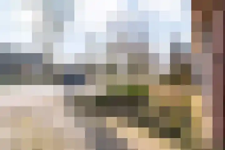 De Esch 39 Gramsbergen thumbnail 42