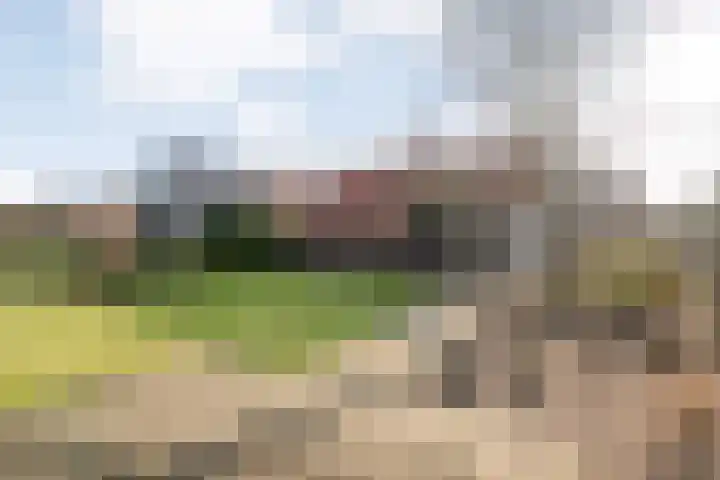 De Esch 39 Gramsbergen thumbnail 45