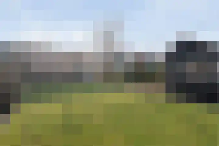 De Esch 39 Gramsbergen thumbnail 46