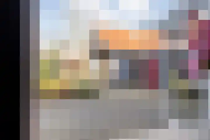 De Esch 39 Gramsbergen thumbnail 48