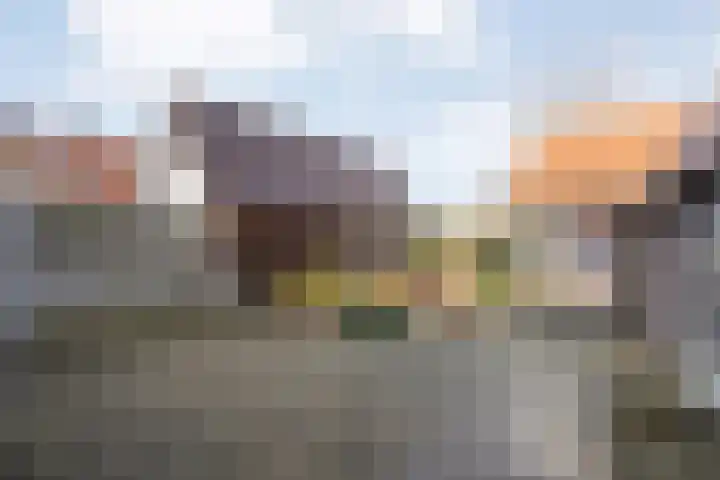 De Esch 39 Gramsbergen thumbnail 49