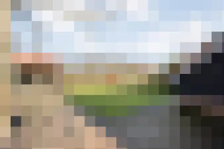 De Esch 39 Gramsbergen thumbnail 50