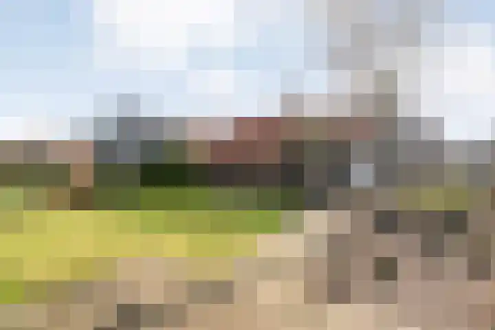De Esch 39 Gramsbergen thumbnail 52