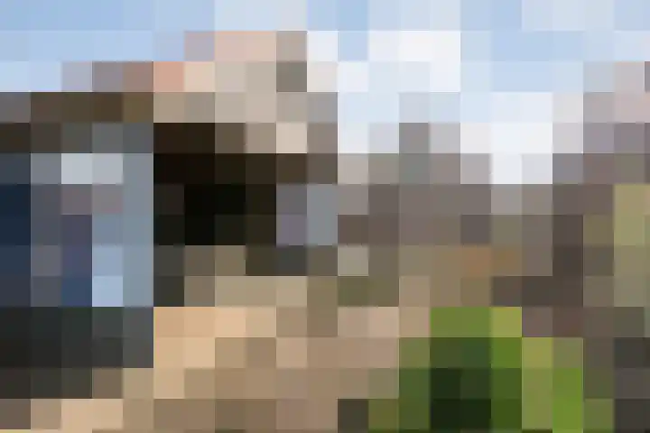 De Esch 39 Gramsbergen thumbnail 54