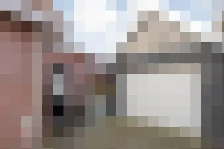 De Esch 39 Gramsbergen thumbnail 56