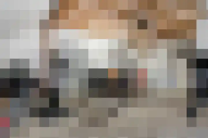 De Esch 39 Gramsbergen thumbnail 57