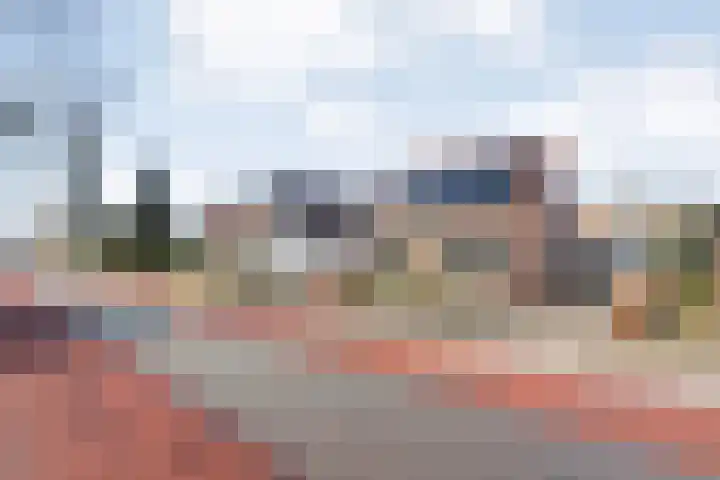De Esch 39 Gramsbergen thumbnail 7