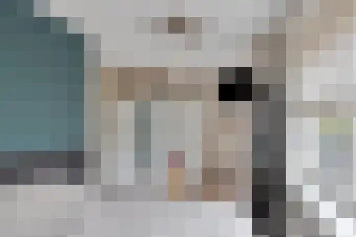 De Esdoorn 11 Budel thumbnail 11